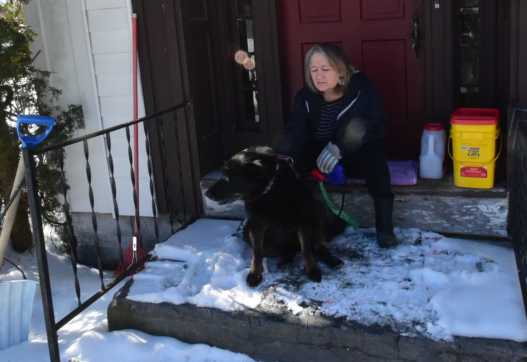 Bella and Pepper on stoop